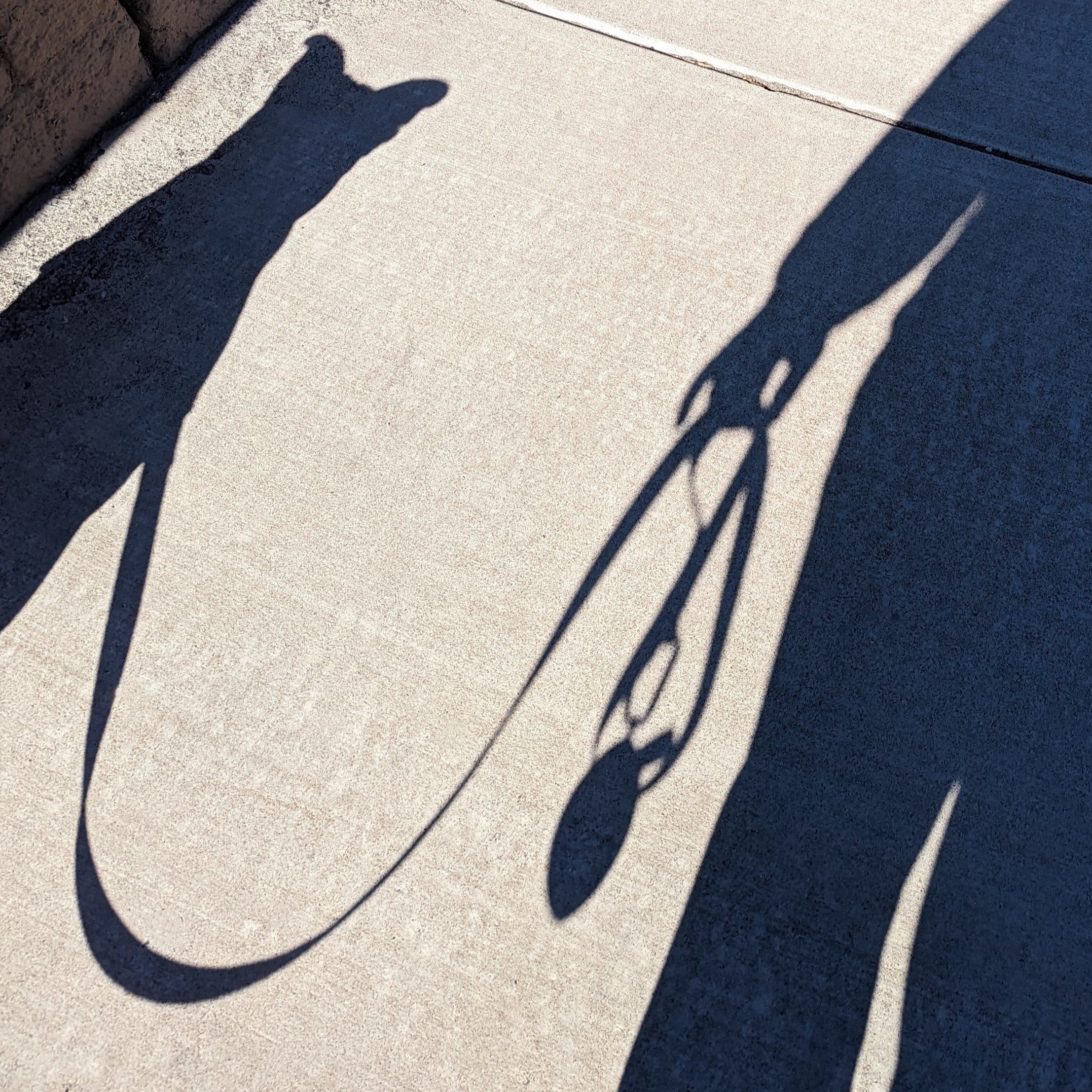 Sports Furnatic's The Tail Gater, a dog's, and a Human's shadow on the sidewalk.  Silhouette shows how small The Tail Gater is.