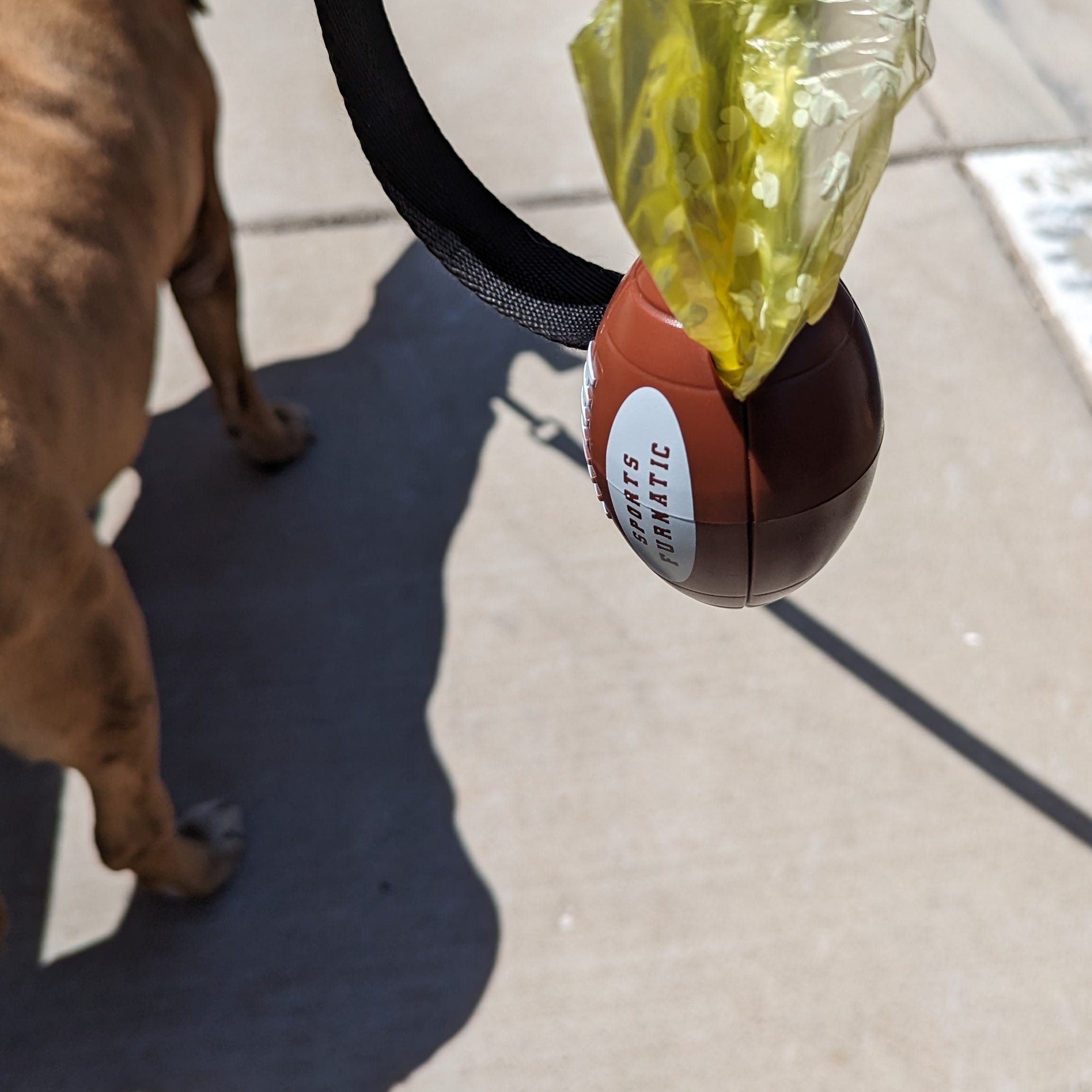 Sports Furnatic's The Tail Gater in Action.  Hanging from dog leash with Yellow Bag Roll. Dogon the left. Can't see the person.